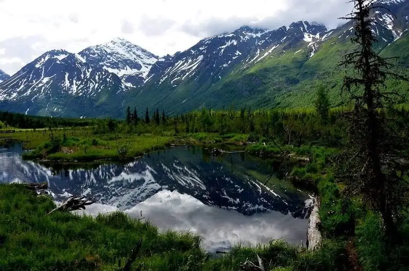 Kenai Peninsula / Chugach National Forest