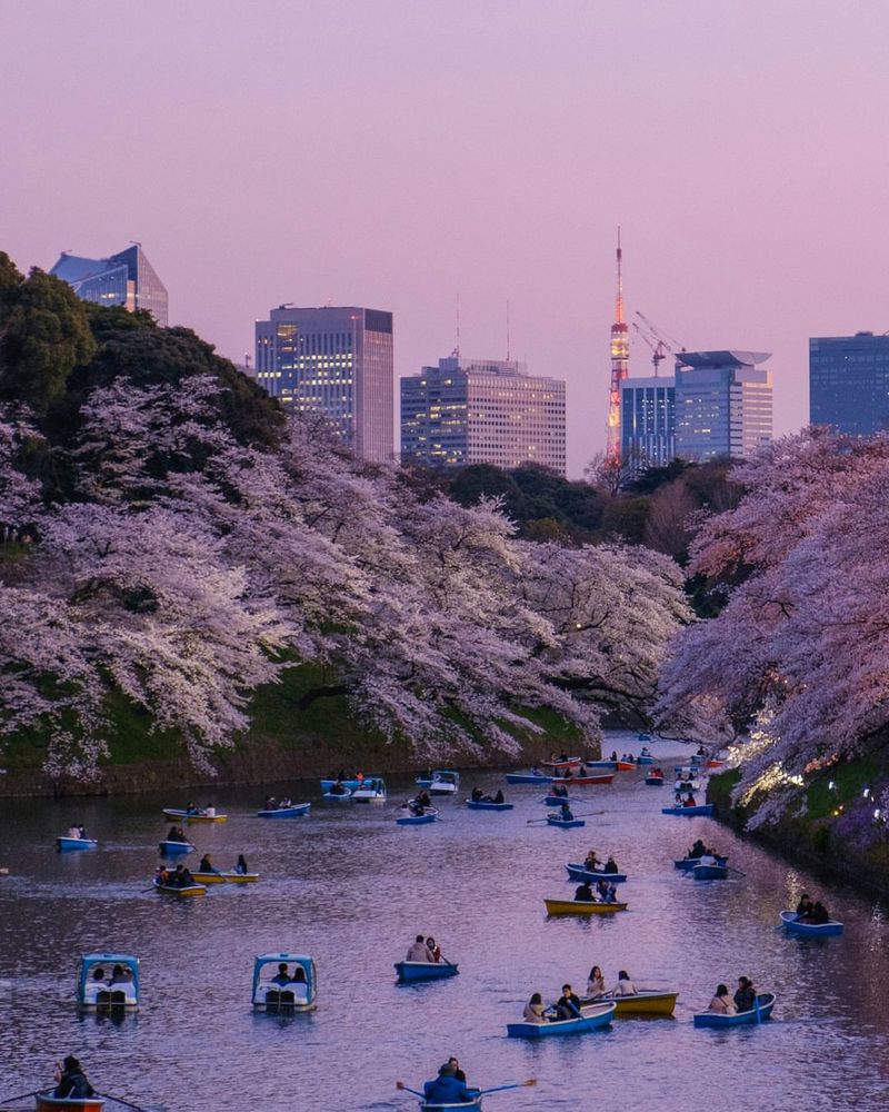 Japan – Technological Advancement and Rich Tradition