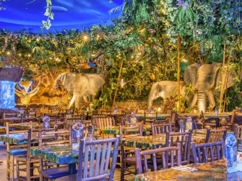 Rainforest Café Disney Springs
