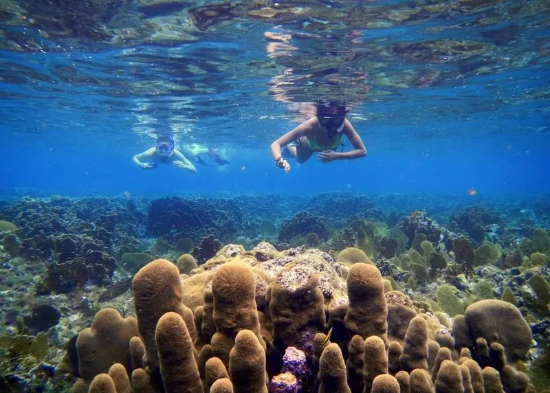 Peterson Cay National Park
