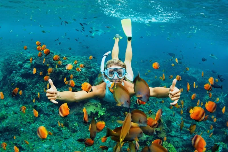 Snorkel at Poipu Beach