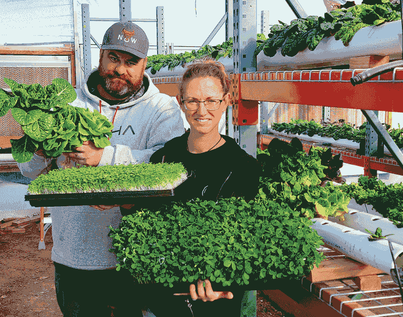 Sample Local Produce at Moapa Valley’s Farms