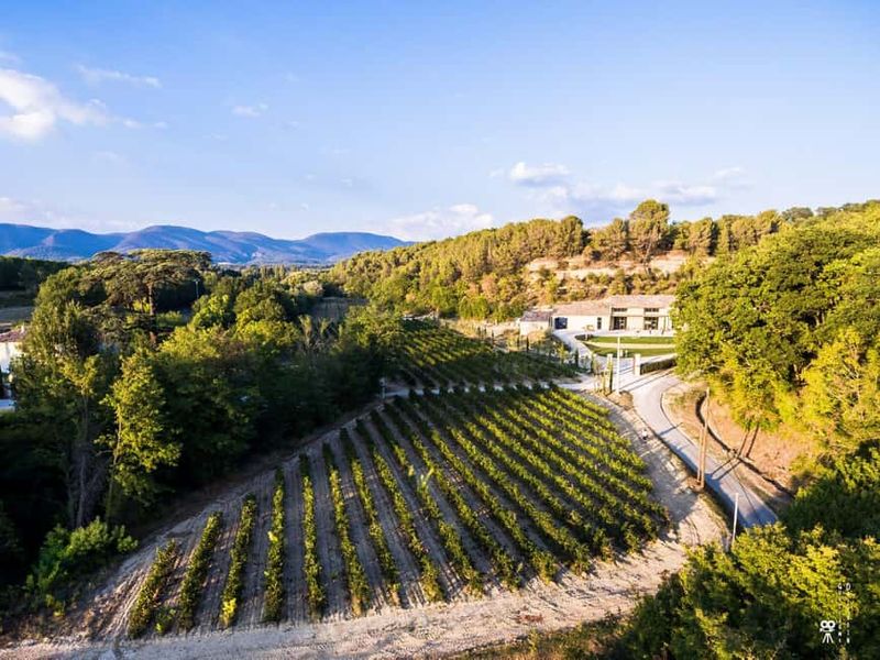 Explore olive oil mills in Provence