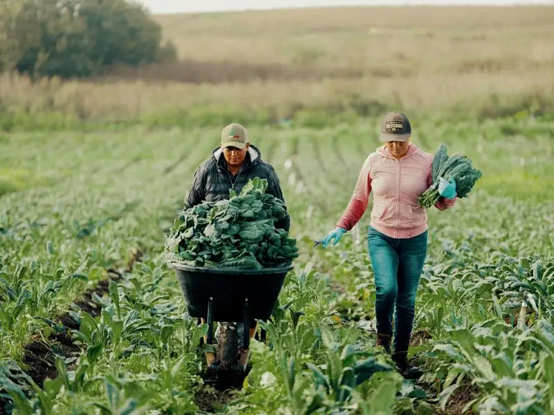 Join a harvest or planting day with local farmers