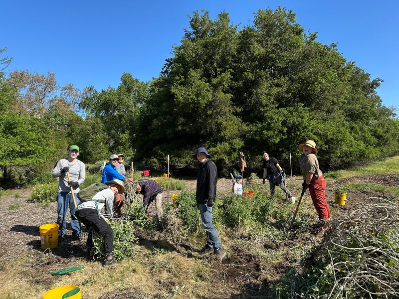 Volunteer for a day with a grassroots project
