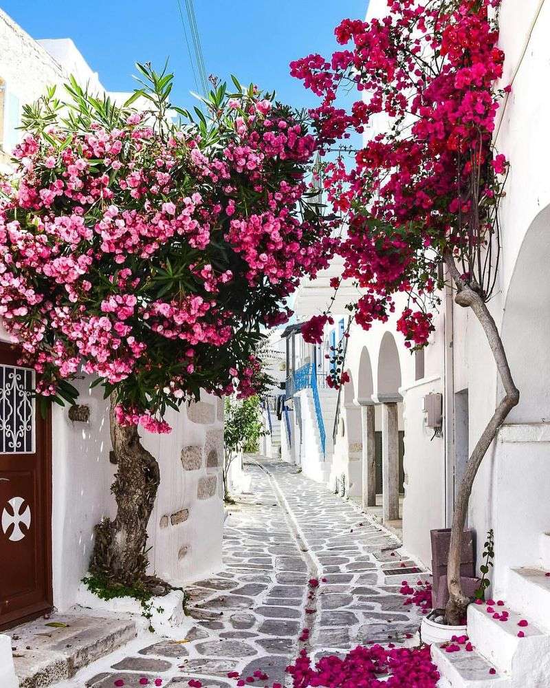 Exploring Santorini’s Whitewashed Streets