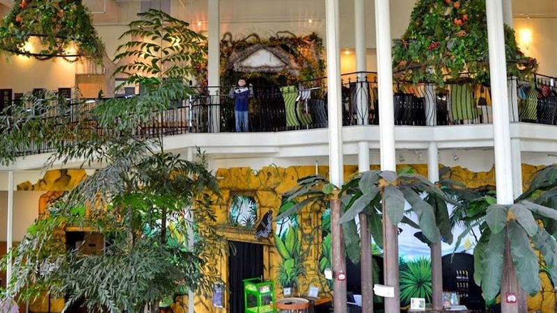 Discovering the Butterfly Palace & Rainforest Adventure