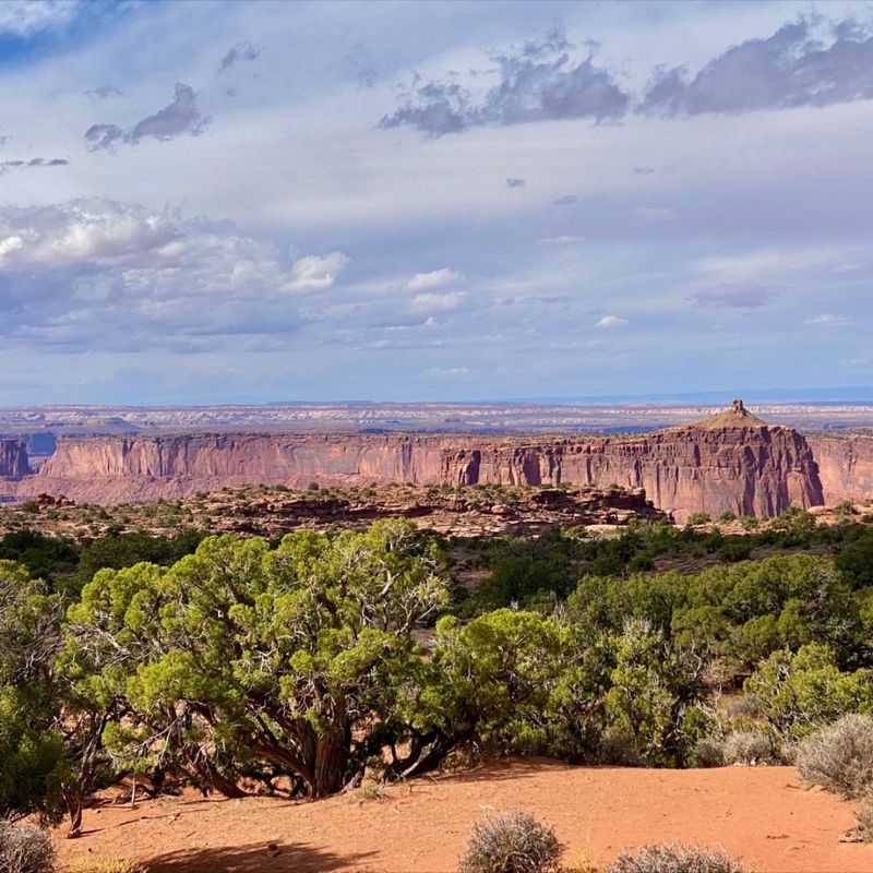 Juniper and Sagebrush in Utah’s Canyonlands