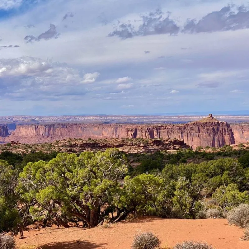 Juniper and Sagebrush in Utah’s Canyonlands