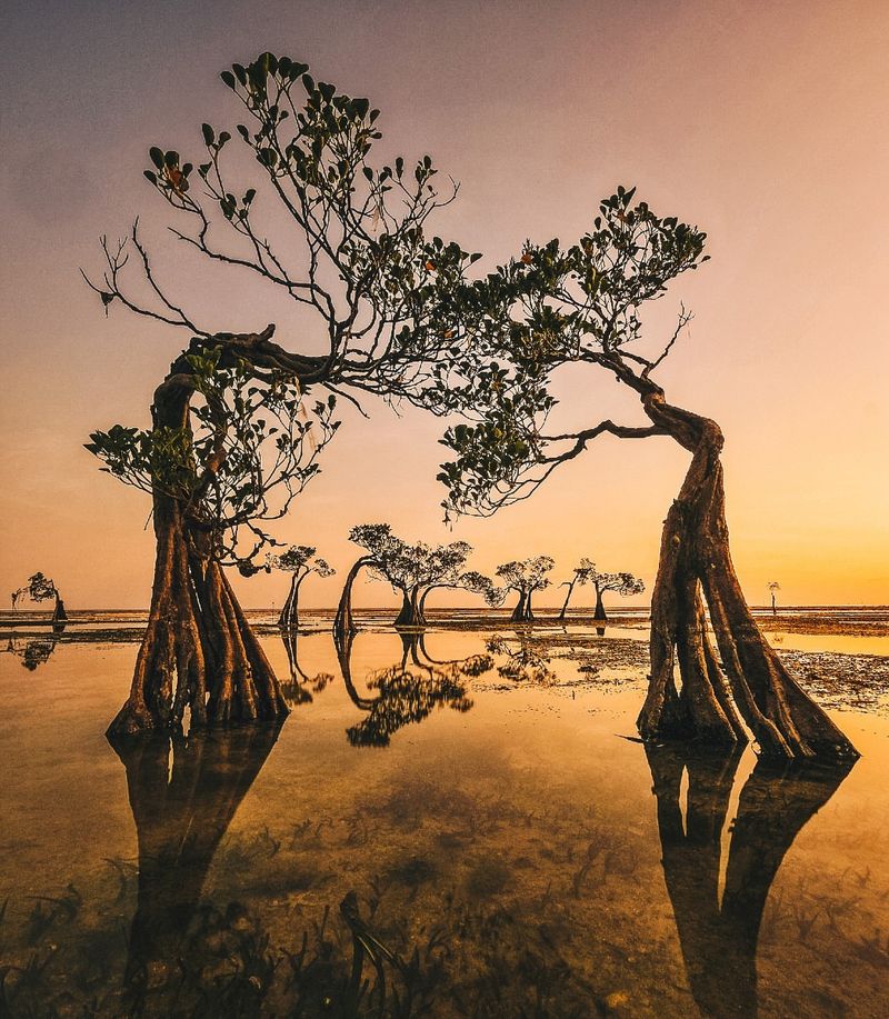 Sumba Island, Indonesia
