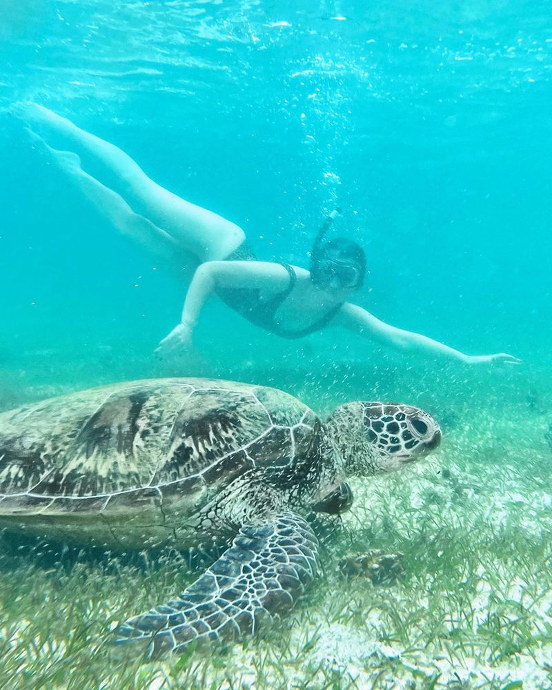 New Caledonia Barrier Reef