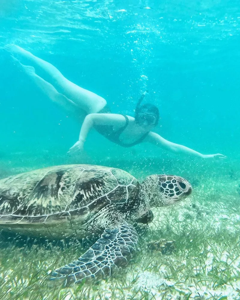 New Caledonia Barrier Reef