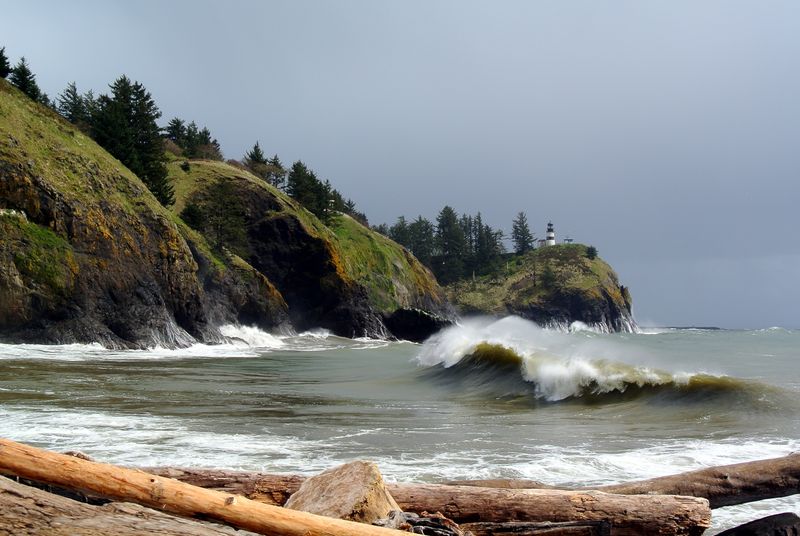 Headlands Trail – Cape Disappointment State Park, Washington