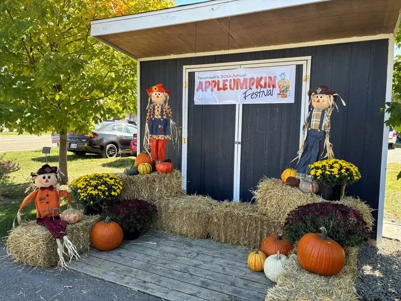 Seasonal Festivals That Bring Out the Town’s Personality
