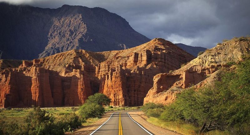 Cafayate, Argentina – Desert Vines and Tall Cacti