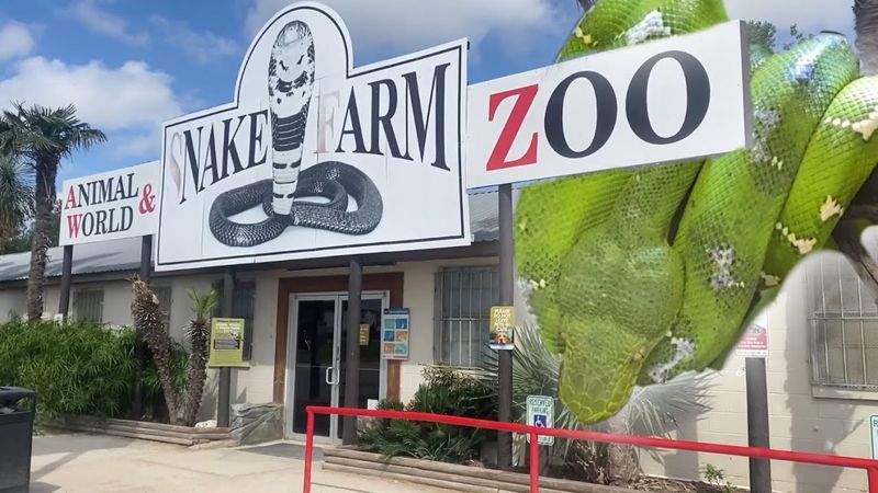 Animal World & Snake Farm Zoo