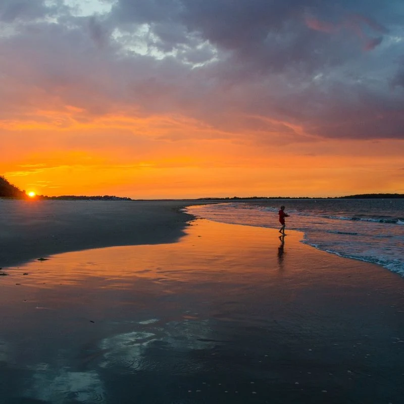 Crane Beach – Ipswich’s Coastal Masterpiece