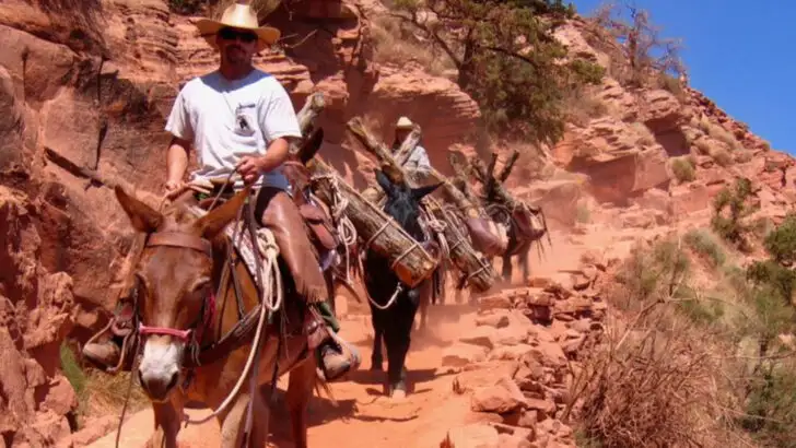 The 14 Most Authentic Native American Cultural Sites You Can Actually Visit