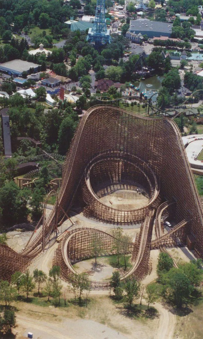 The Beast's Forest Canopy