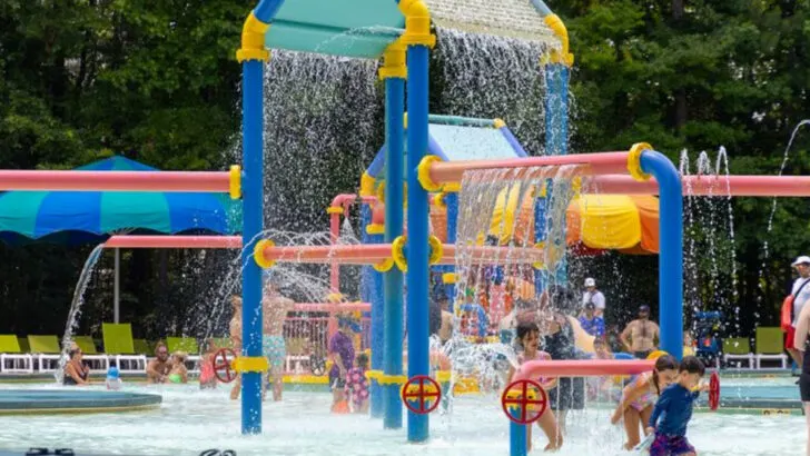 The 18 Best Kings Island Rides of All Time (From Classics to Crowd Favorites)