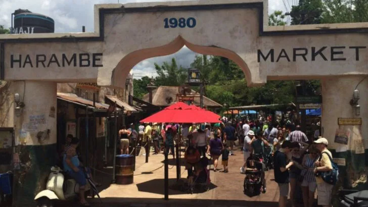 The 9 Best Places to Eat in Animal Kingdom, According to Real Disney Fans