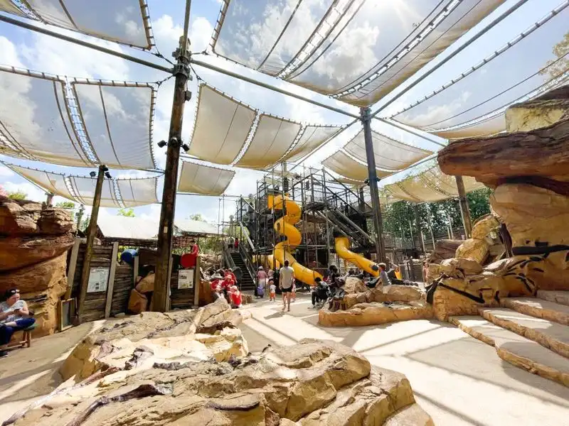 The Boneyard at DinoLand U.S.A