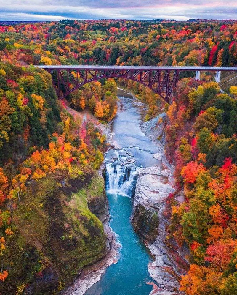 Seasonal Color: Fall Is a Major Draw
