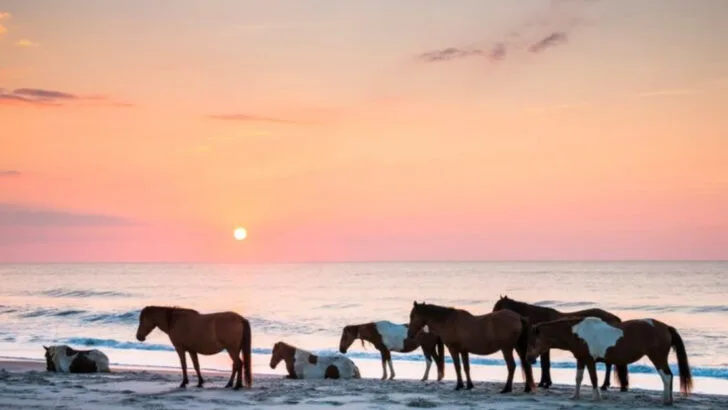 The Best 14 Beaches in Maryland for Sand, Surf, and Sunsets