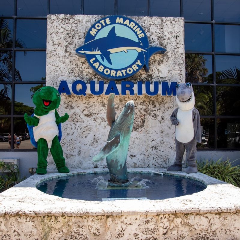 Mote Marine Laboratory & Aquarium