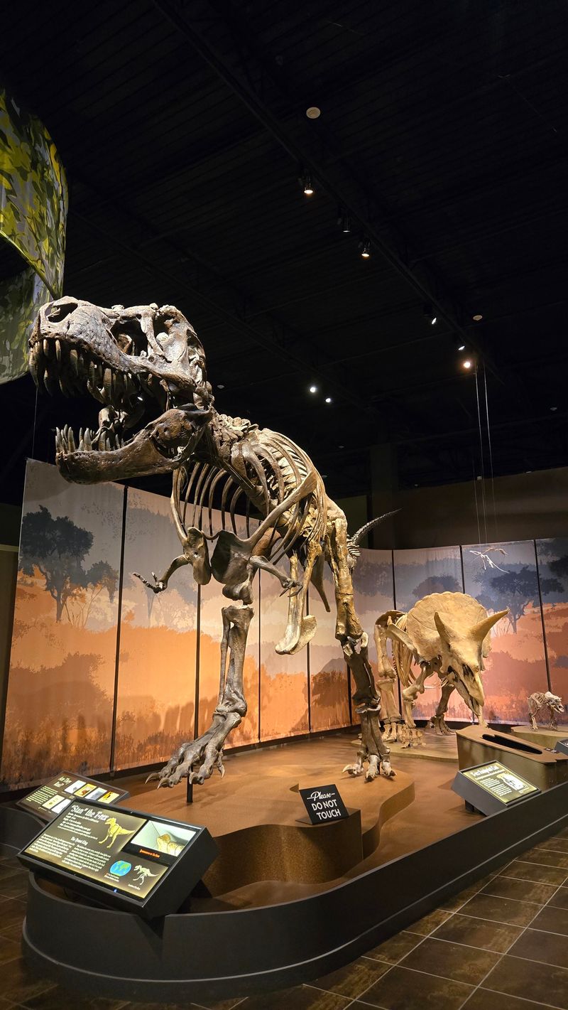 Fernbank Museum, Georgia