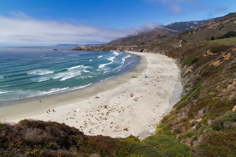 Sand Dollar Shores