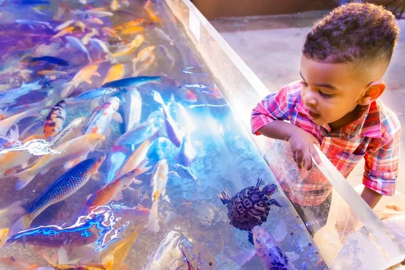 San Antonio Aquarium