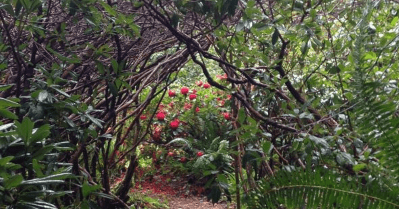 Gerdemann Botanic Preserve