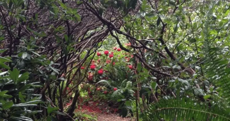 Gerdemann Botanic Preserve