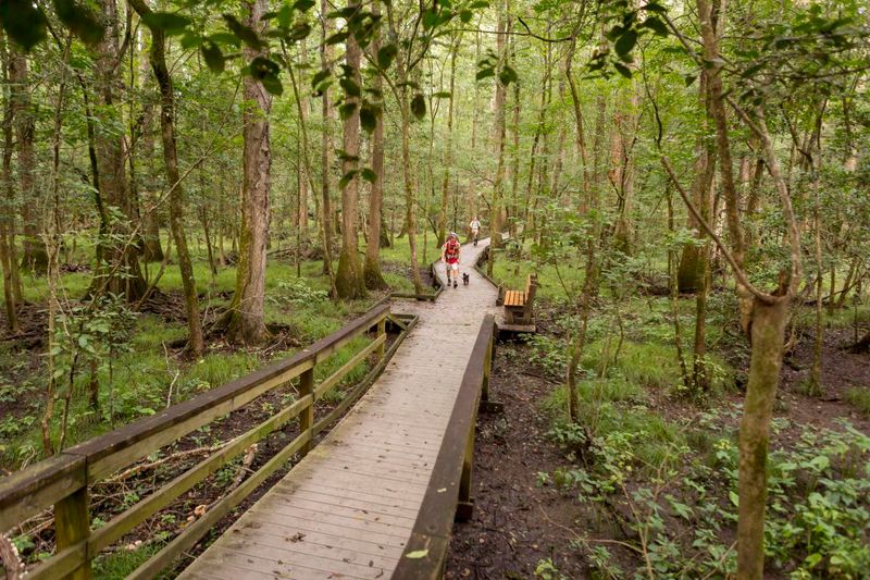 Congaree National Park – South Carolina
