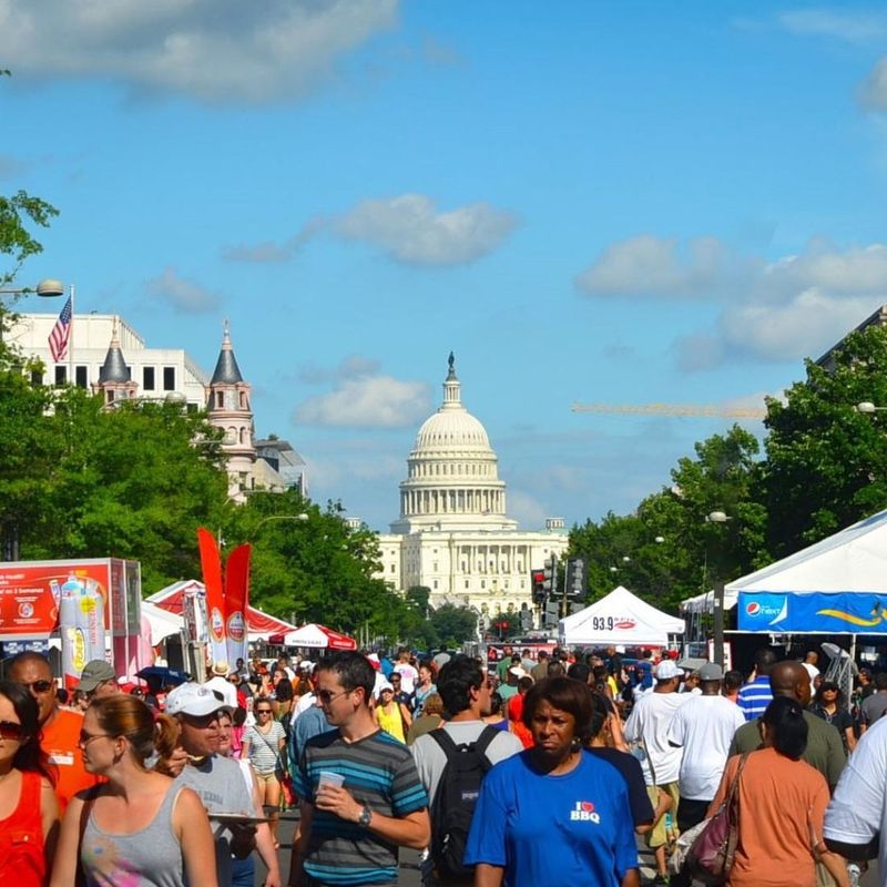 Missed: The Overcrowded National Mall Lawns in Summer