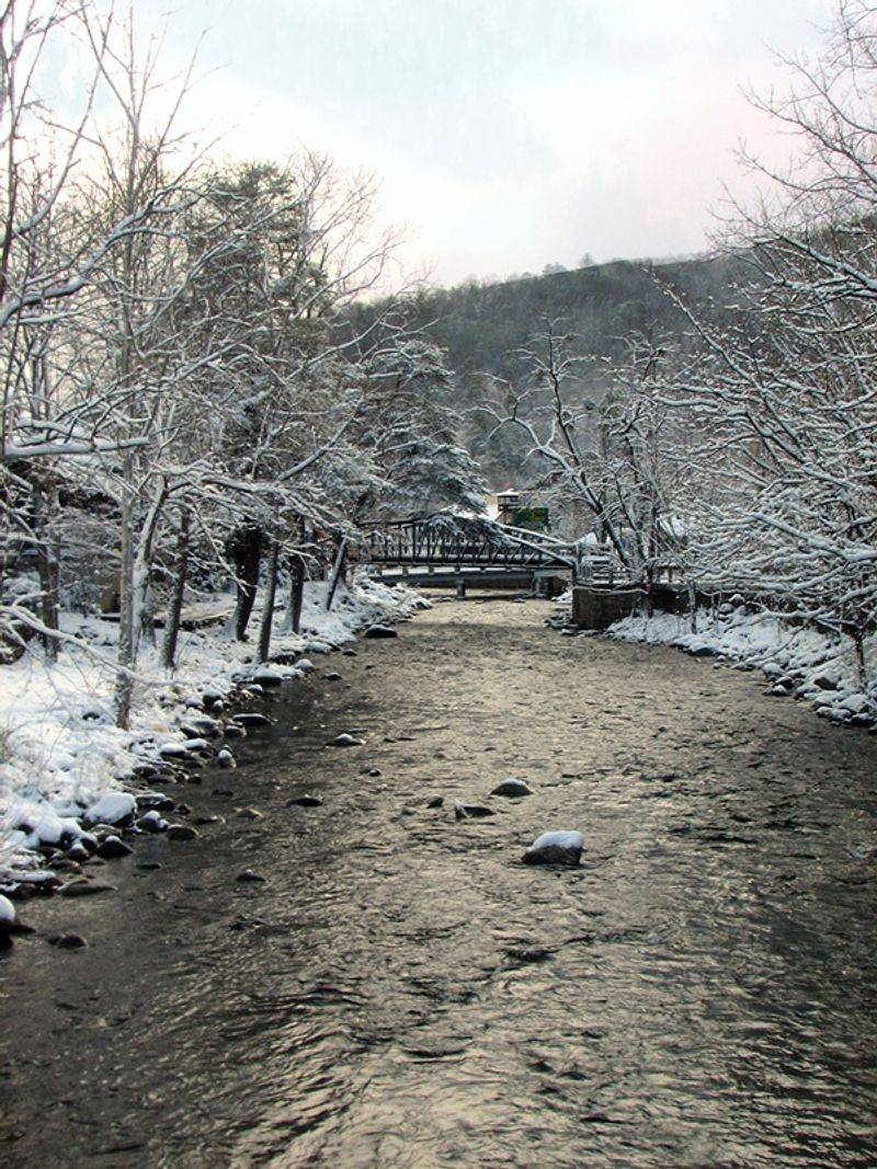 River Terrace Resort and Convention Center