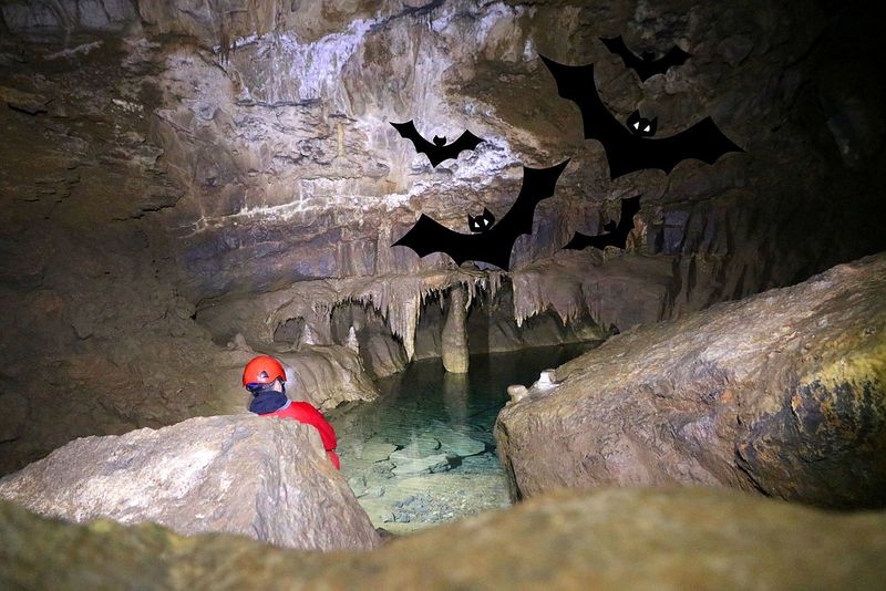The Hidden Caves of Lake Michigan