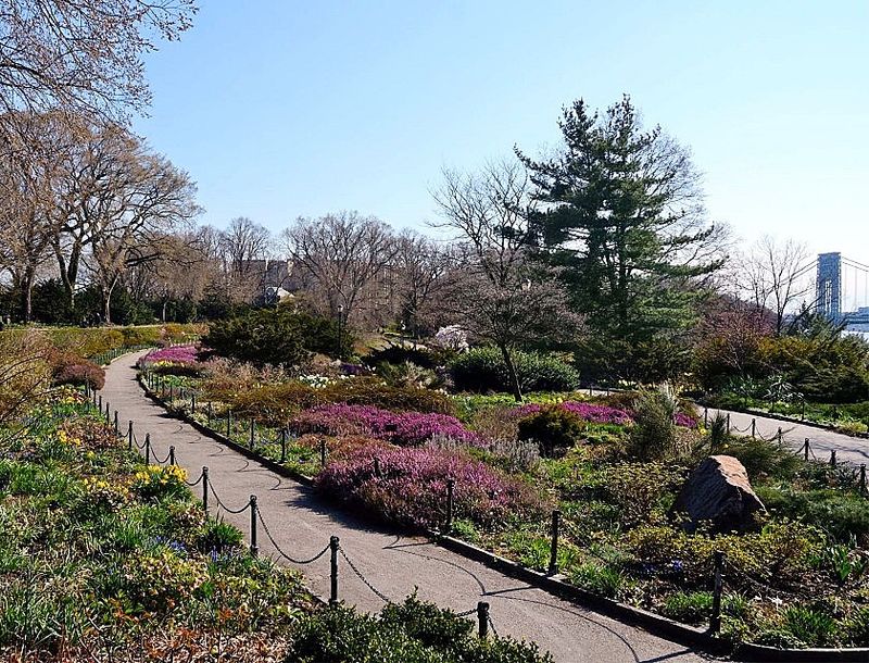 Fort Tryon Park Heather Garden, Washington Heights