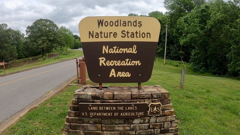 Woodlands Nature Station: A Walk Among Rescued Animals