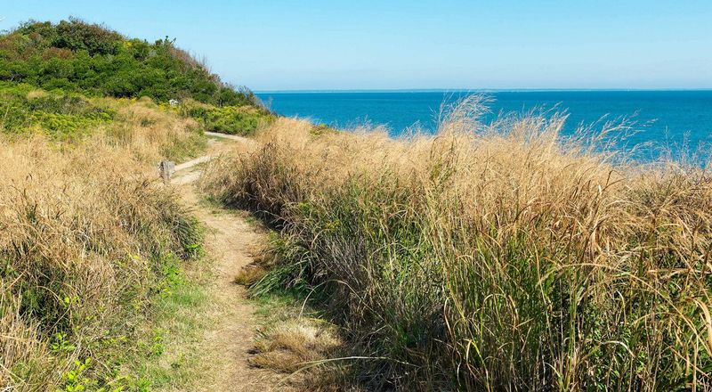 The Nature Conservancy Trails