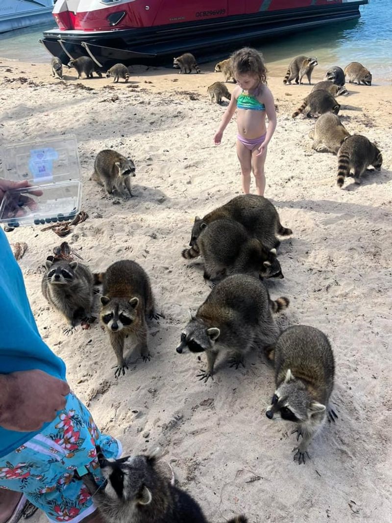 Unexpected Wildlife Encounters