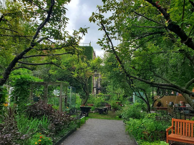 Green Thumb Community Gardens, East Village