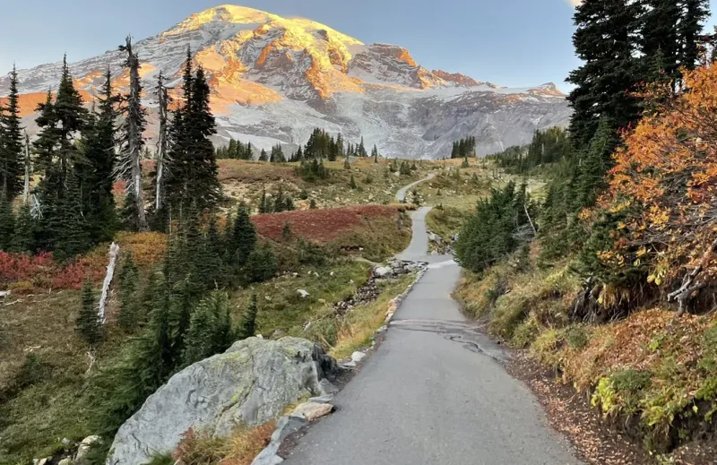 Muir Snowfield, Mt. Rainier (WA)