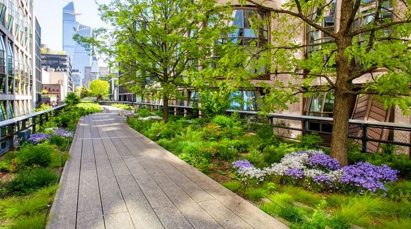 The High Line