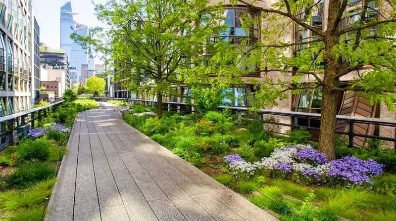 The High Line