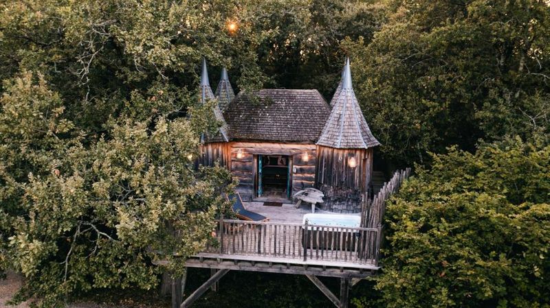 Châteaux dans les Arbres