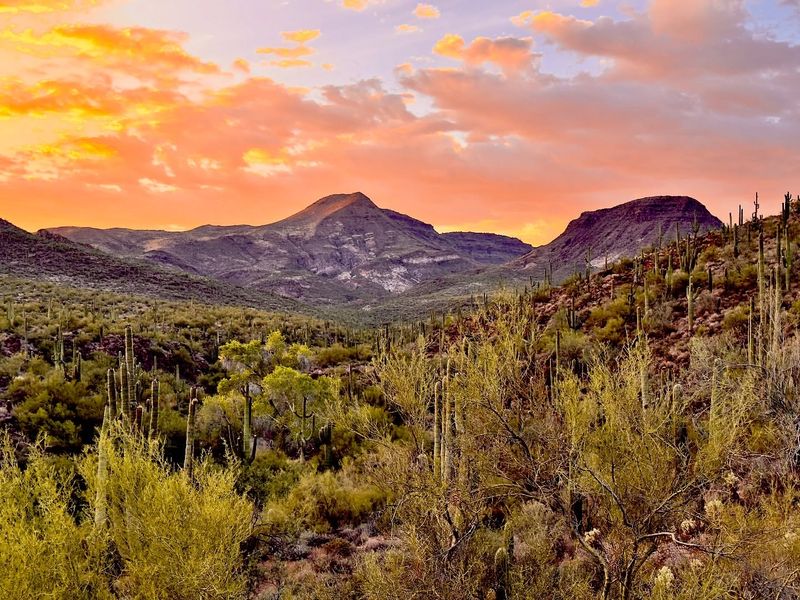 Cave Creek Ranch