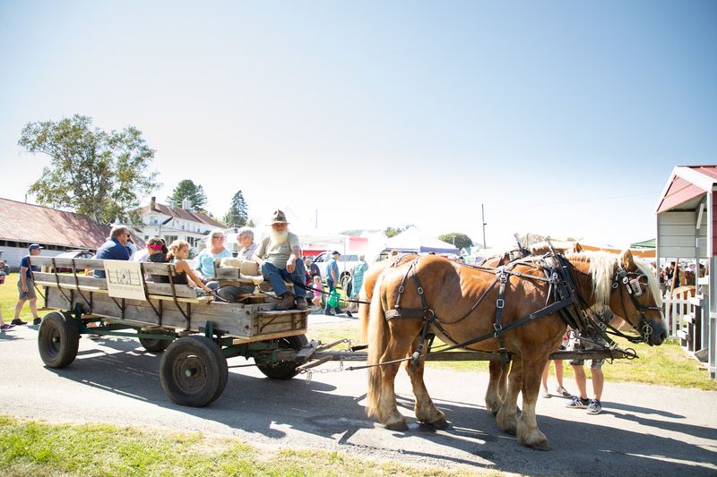 The Horse-Drawn Carriage Ride