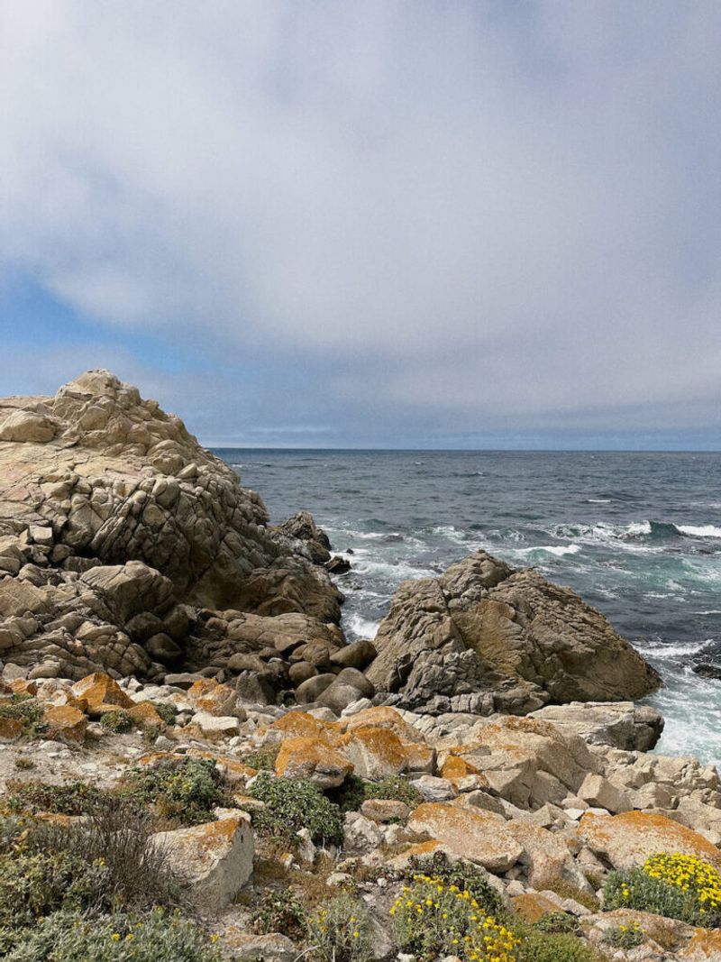 Point Joe